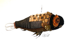 Fish 2