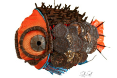 Fish 5