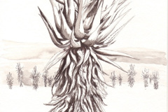 Aloe 10