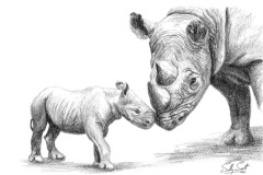 Black Rhino No. 2
