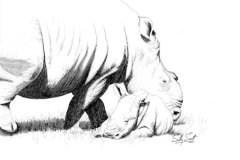 Thandi and Thembi 1