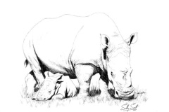 Thandi and Thembi 2
