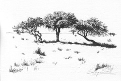 Tree Study 10