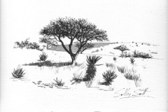 Tree Study 8