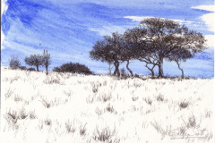 Treescape