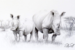 White Rhino No.8