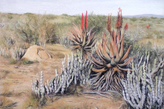 Fish River Veld