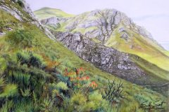 Hermanus