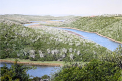 Bushman's River