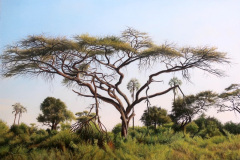 Anna's Tree