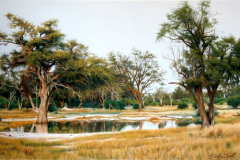 Jacky's Pan, Vumbura Plains, Botswana
