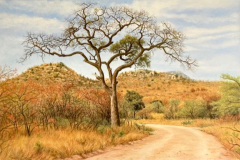 Kruger-pic-