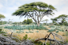 Okavango 2