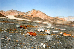 Richtersveld Road