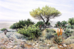 View Across the Veld 1