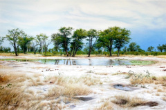 Waterhole, King's Pool, Botswana