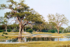Waterhole, Botswana