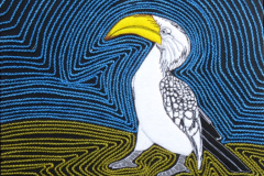 Yellow-Billed Hornbill