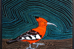 Hoopoe